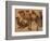 Cinq chameaux-Pieter Boel-Framed Giclee Print