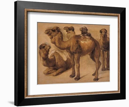 Cinq chameaux-Pieter Boel-Framed Giclee Print