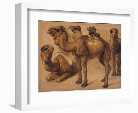 Cinq chameaux-Pieter Boel-Framed Giclee Print