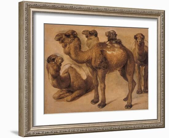 Cinq chameaux-Pieter Boel-Framed Giclee Print