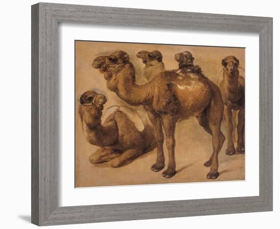 Cinq chameaux-Pieter Boel-Framed Giclee Print