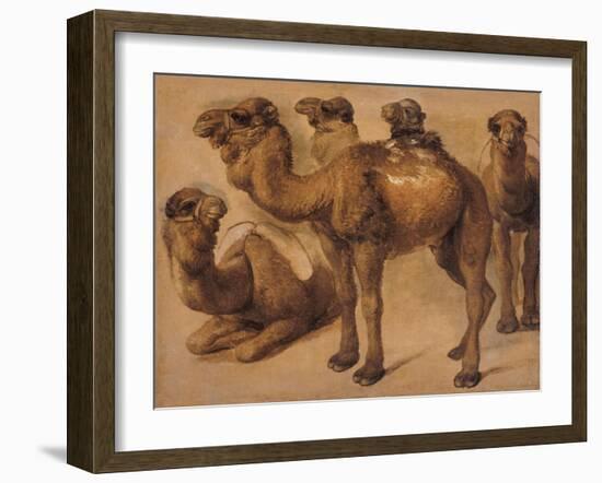 Cinq chameaux-Pieter Boel-Framed Giclee Print