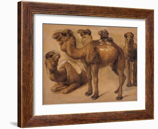 Cinq chameaux-Pieter Boel-Framed Giclee Print