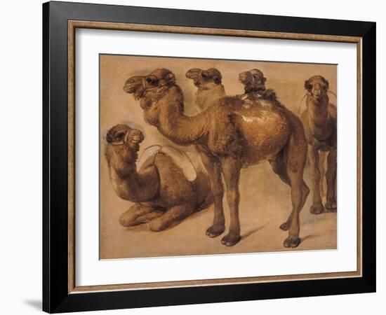 Cinq chameaux-Pieter Boel-Framed Giclee Print