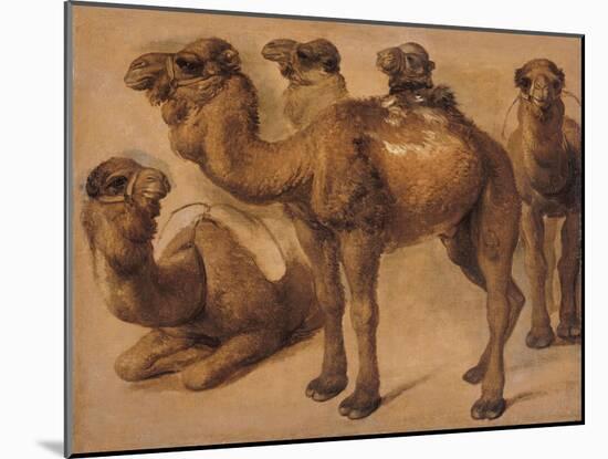 Cinq chameaux-Pieter Boel-Mounted Giclee Print