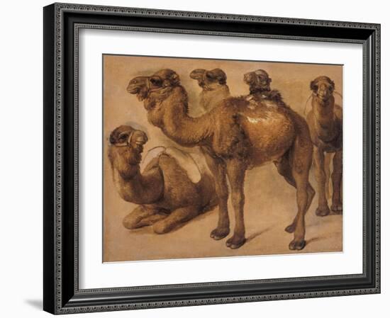 Cinq chameaux-Pieter Boel-Framed Giclee Print