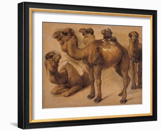 Cinq chameaux-Pieter Boel-Framed Giclee Print