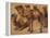 Cinq chameaux-Pieter Boel-Framed Premier Image Canvas