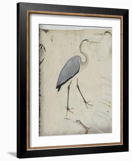 Cinq hérons. Un gypaète. Un paon.-null-Framed Giclee Print