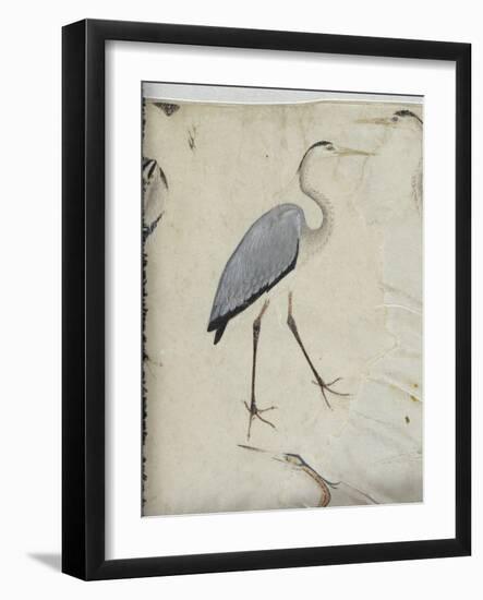 Cinq hérons. Un gypaète. Un paon.-null-Framed Giclee Print