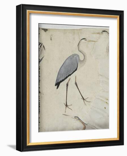 Cinq hérons. Un gypaète. Un paon.-null-Framed Giclee Print