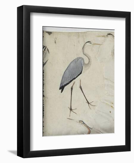 Cinq hérons. Un gypaète. Un paon.-null-Framed Giclee Print