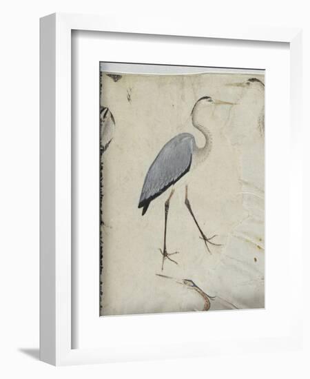 Cinq hérons. Un gypaète. Un paon.-null-Framed Giclee Print