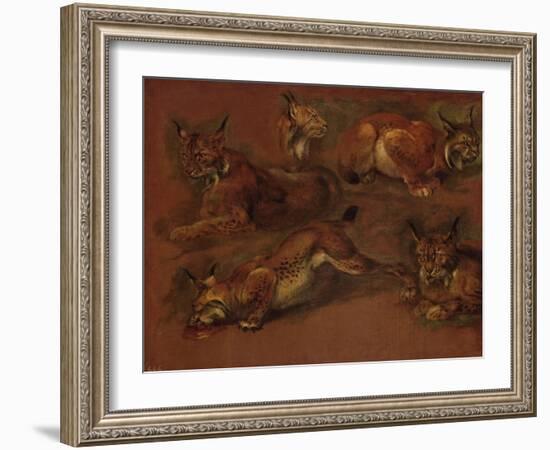 cinq lynx-Pieter Boel-Framed Giclee Print