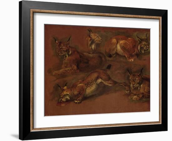 cinq lynx-Pieter Boel-Framed Giclee Print