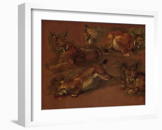 cinq lynx-Pieter Boel-Framed Giclee Print