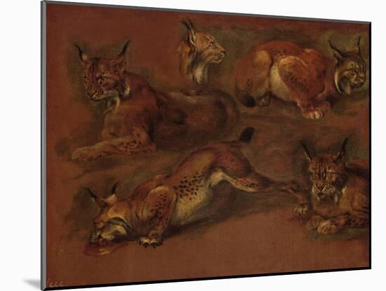 cinq lynx-Pieter Boel-Mounted Giclee Print