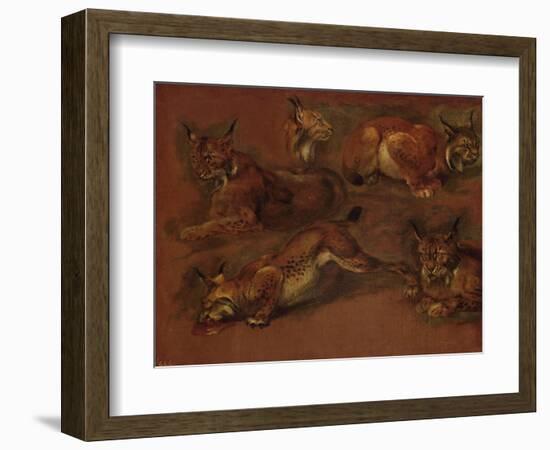 cinq lynx-Pieter Boel-Framed Giclee Print