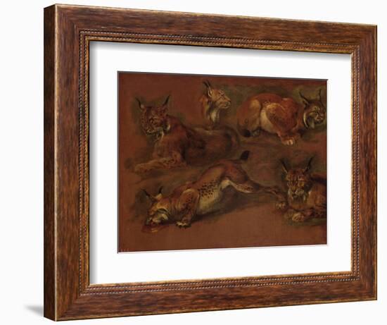 cinq lynx-Pieter Boel-Framed Giclee Print