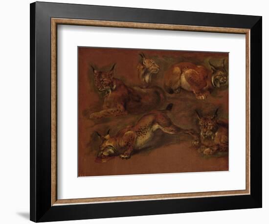 cinq lynx-Pieter Boel-Framed Giclee Print