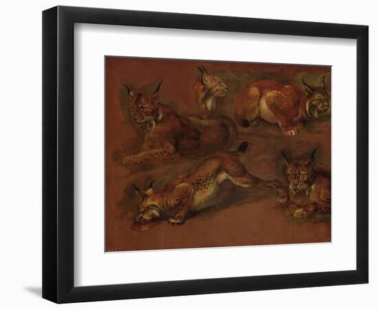 cinq lynx-Pieter Boel-Framed Giclee Print