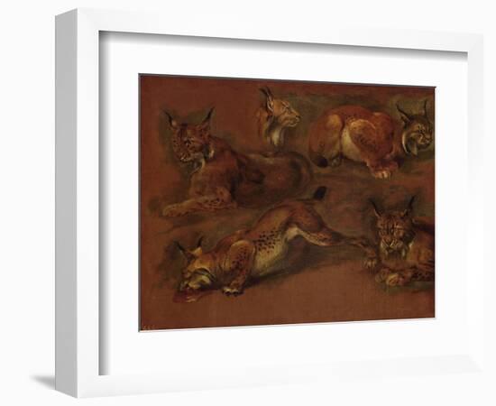 cinq lynx-Pieter Boel-Framed Giclee Print