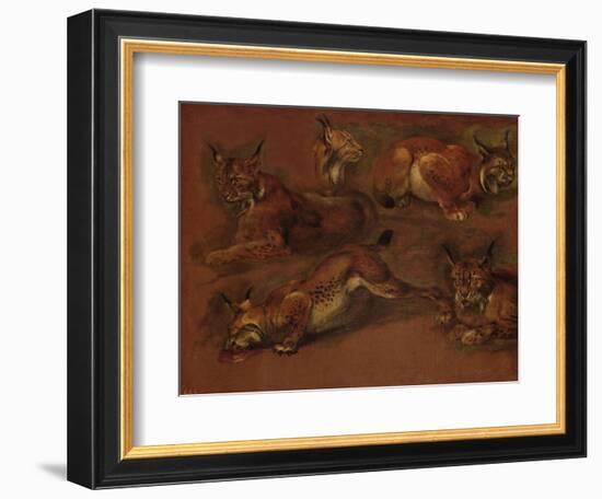 cinq lynx-Pieter Boel-Framed Giclee Print