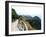 Cinque Terre Corniglia From the Trail-Marilyn Dunlap-Framed Art Print