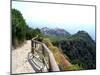 Cinque Terre Corniglia From the Trail-Marilyn Dunlap-Mounted Art Print