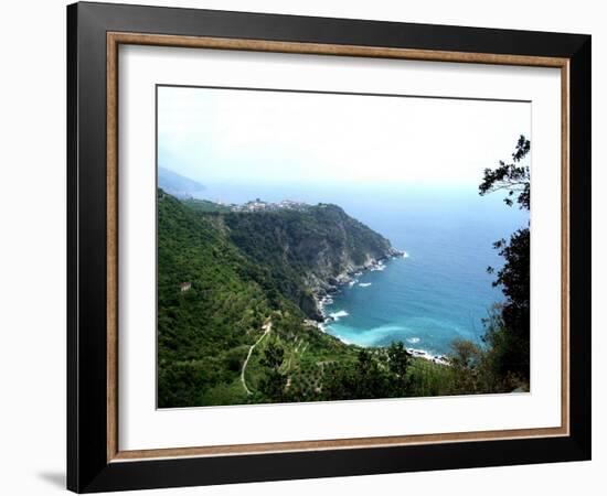 Cinque Terre Corniglia with vineyards-Marilyn Dunlap-Framed Art Print