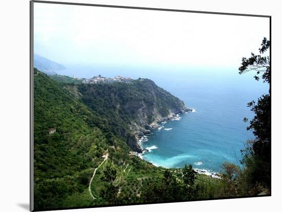 Cinque Terre Corniglia with vineyards-Marilyn Dunlap-Mounted Art Print