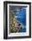 Cinque Terre Towns on the Cliffs, Italy-George Oze-Framed Photographic Print