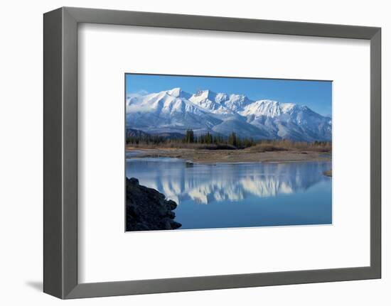 Cinquefoil Mountain Reflects in the Athabasca River, Jasper National Park, Canada-Richard Wright-Framed Photographic Print