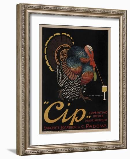 Cip Padova Turkey-null-Framed Giclee Print