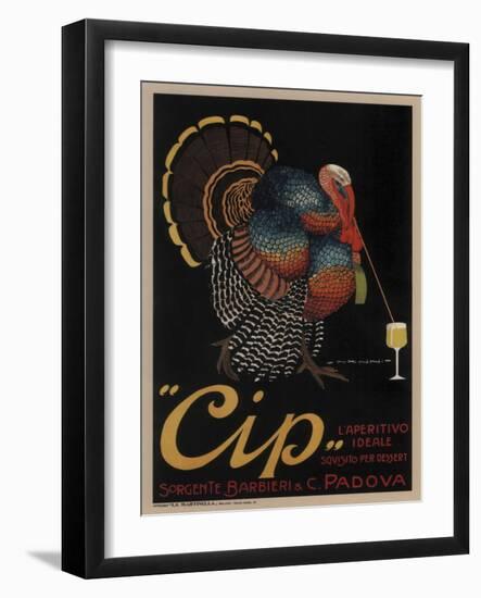 Cip Padova Turkey-null-Framed Giclee Print