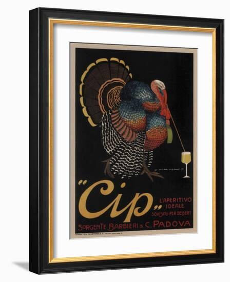 Cip Padova Turkey-null-Framed Giclee Print