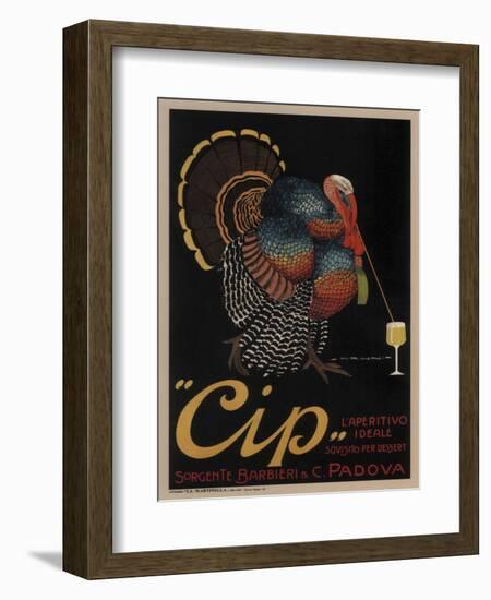 Cip Padova Turkey-null-Framed Giclee Print