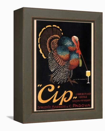 Cip, the Perfect Aperitif-Onxnnio-Framed Stretched Canvas