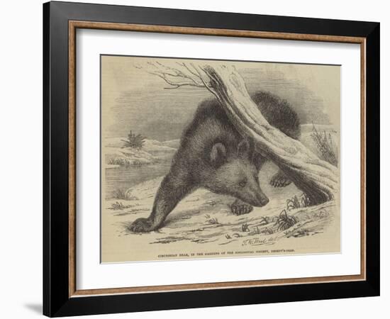 Circassian Bear, in the Gardens of the Zoological Society, Regent'S-Park-Thomas W. Wood-Framed Giclee Print