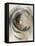 Circle 1-Doris Charest-Framed Stretched Canvas