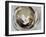 Circle 3-Doris Charest-Framed Art Print