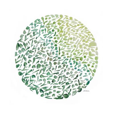 24 x 24 Circle Garden II Poster Print by Ann Marie Coolick 24 x 24 Circle Garden II Poster Print by Ann Marie Coolick