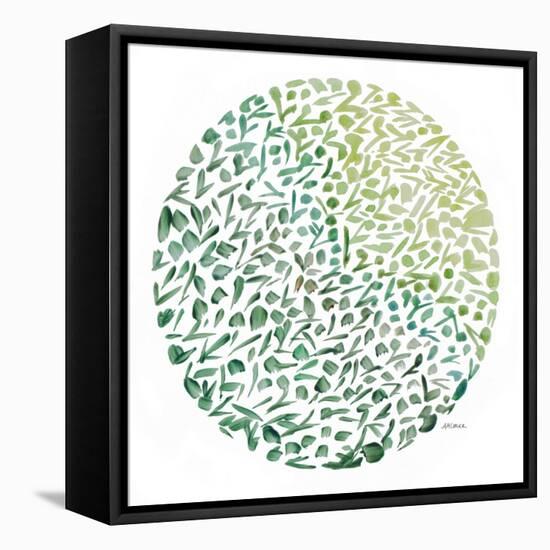 Circle Garden II-Ann Marie Coolick-Framed Stretched Canvas