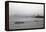 Circle Line Hudson River NYC-null-Framed Stretched Canvas
