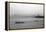 Circle Line Hudson River NYC-null-Framed Stretched Canvas