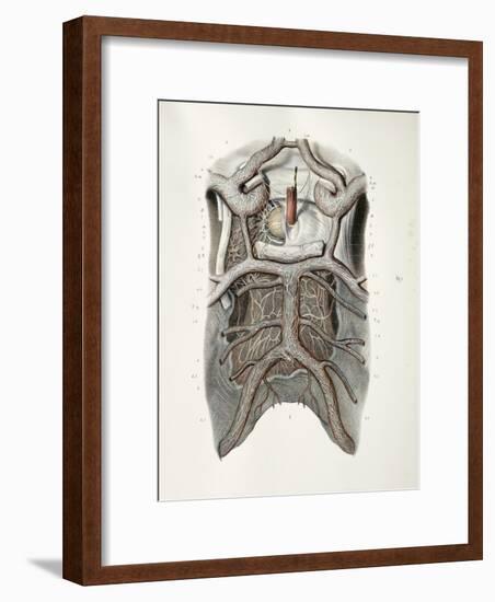 Circle of Willis Nerves, 1844 Artwork-Science Photo Library-Framed Photographic Print