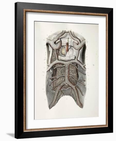 Circle of Willis Nerves, 1844 Artwork-Science Photo Library-Framed Photographic Print