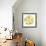 Circle of Yellow Pears-Maria Mirnaya-Framed Art Print displayed on a wall