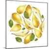 Circle of Yellow Pears-Maria Mirnaya-Mounted Art Print