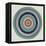 Circular Appeal 3-Savannah Miller-Framed Stretched Canvas